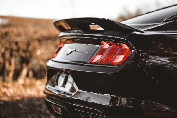 카지노 미스터 슬롯 안드로이드/iOS 앱